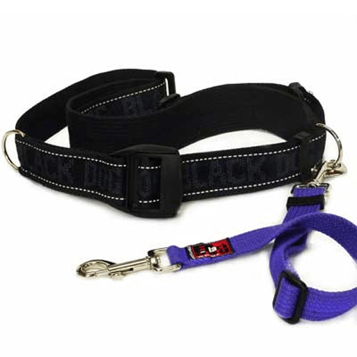 Hands Free Training Belt